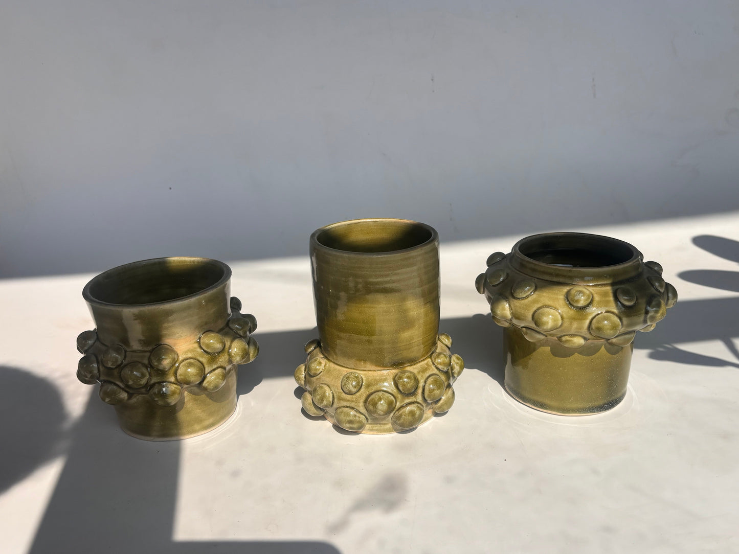 SUCCULENT VASES