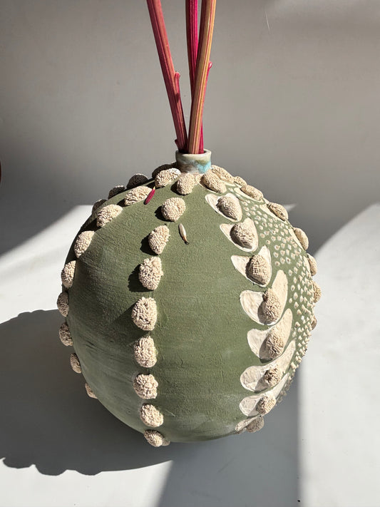 Astrophytum Asteria