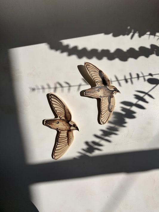 SWIFT BIRDS