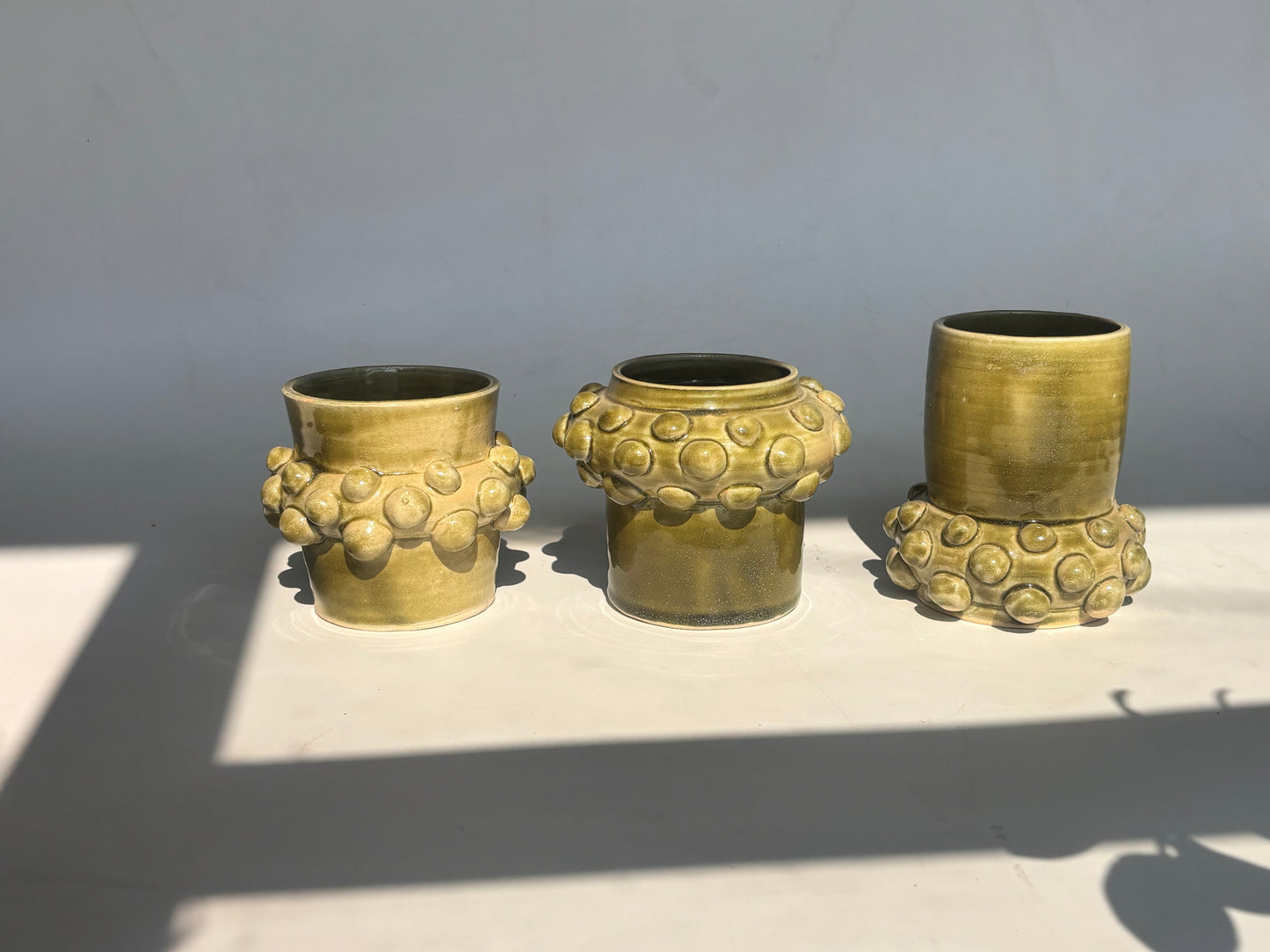 SUCCULENT VASES