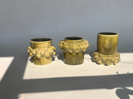 SUCCULENT VASES
