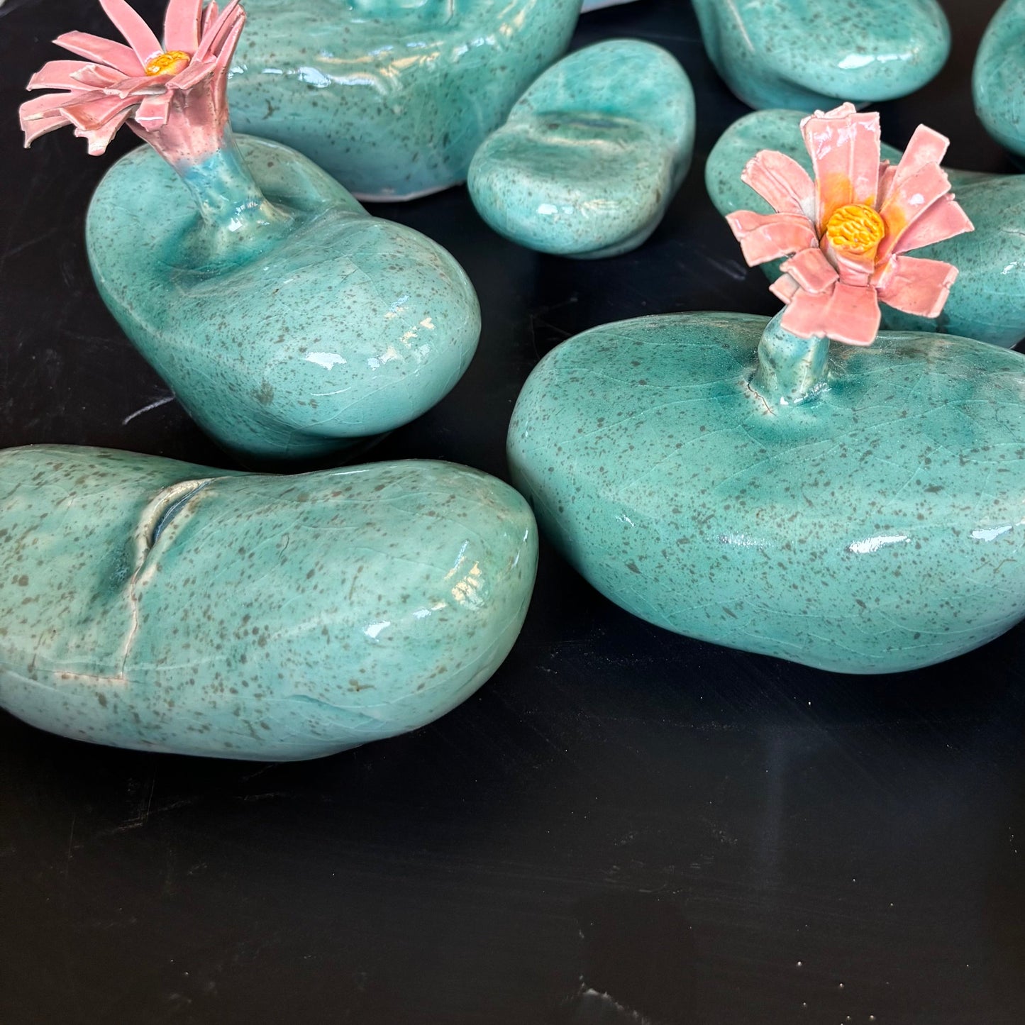 lithos  with pink flower-like structures on a black background