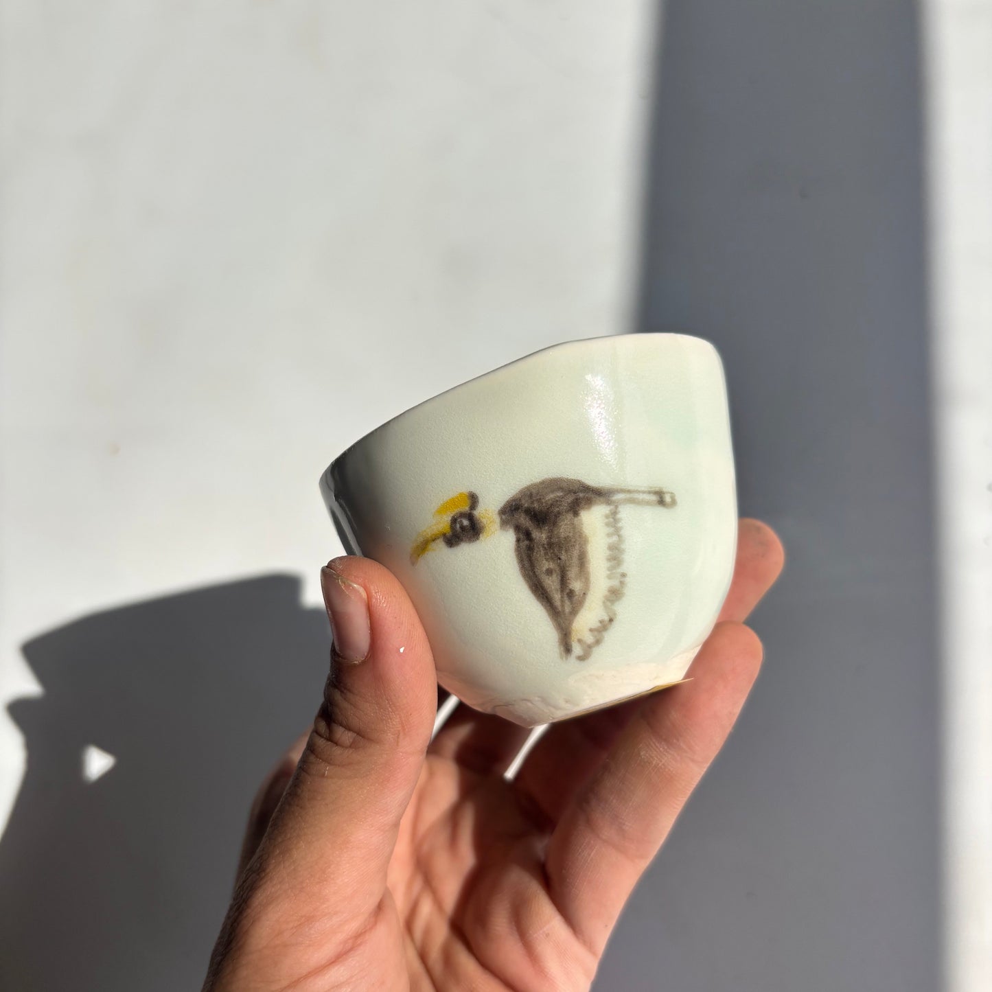 Hornbill cup