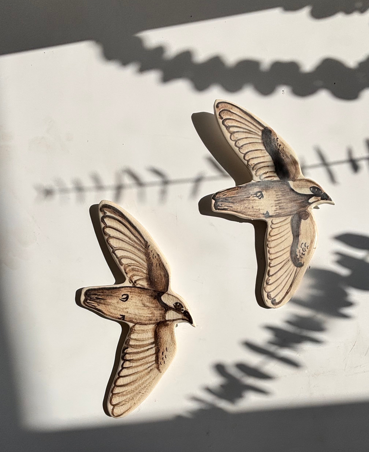 SWIFT BIRDS