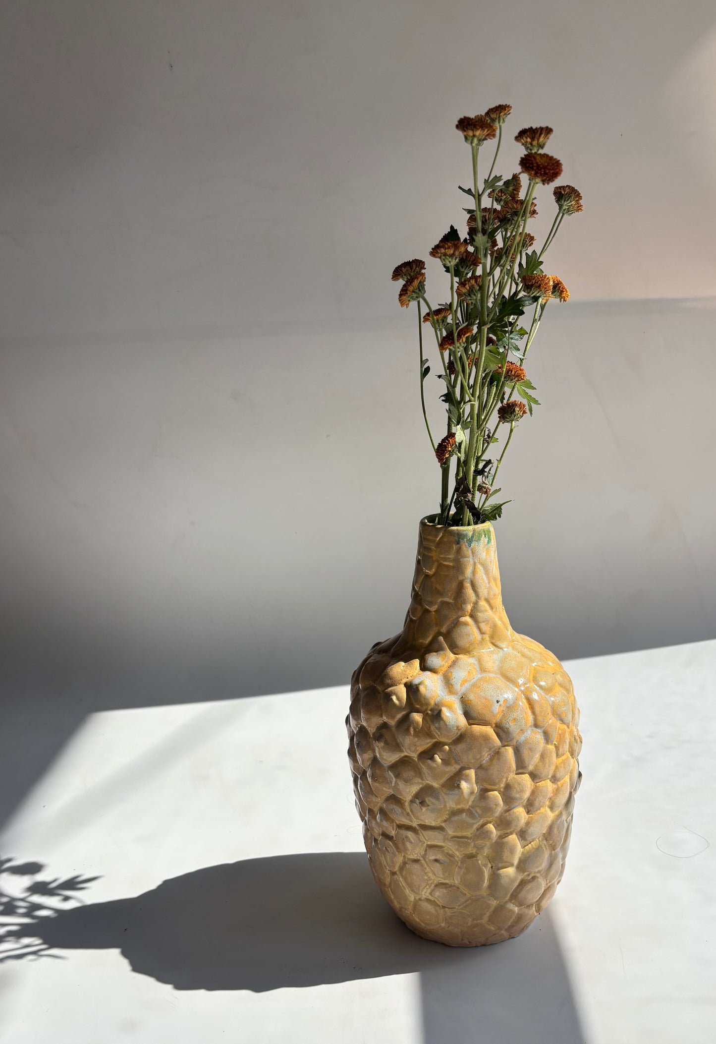 Yellow Succulent Vase