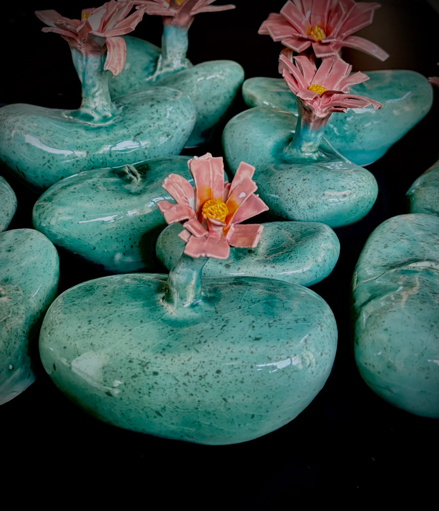 Lithop  Installation
