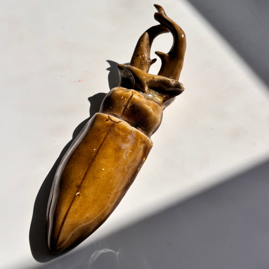 Bronze stag beetle on a white background