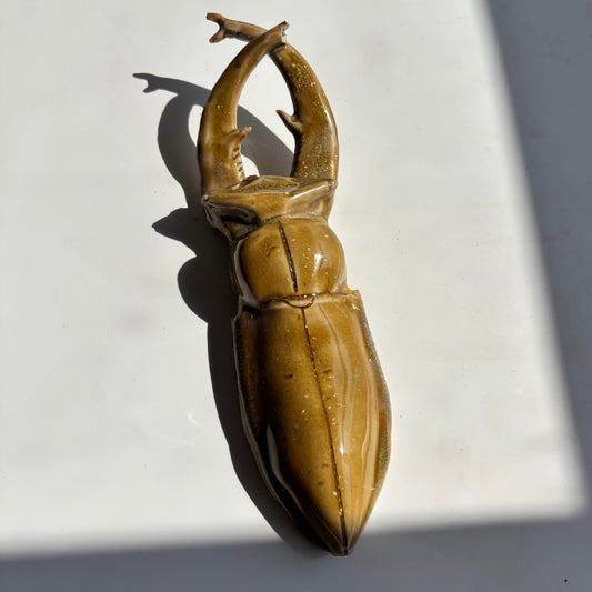 Bronze beetle sculpture on a white surface with a gray background