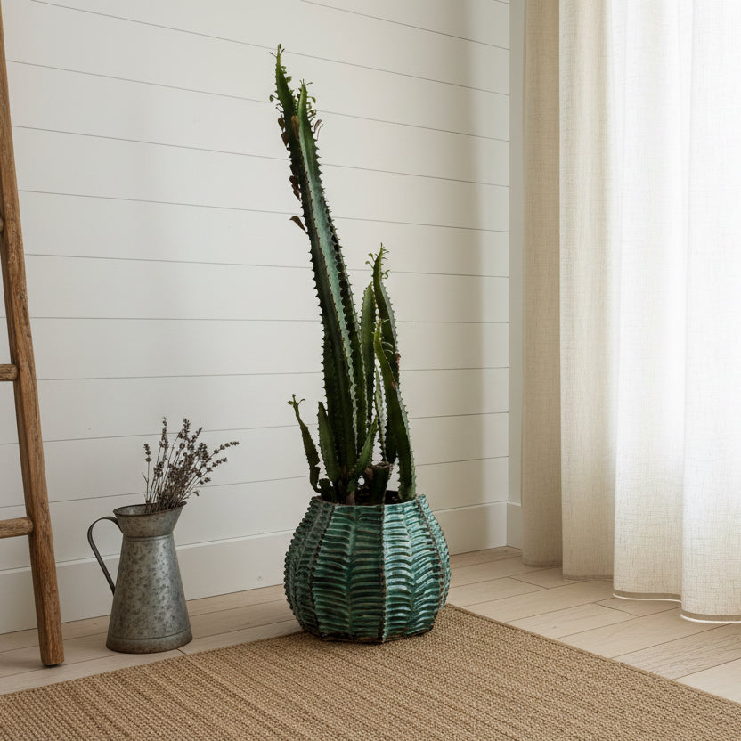 Cactus plant in a glass vase against a wall with a window above