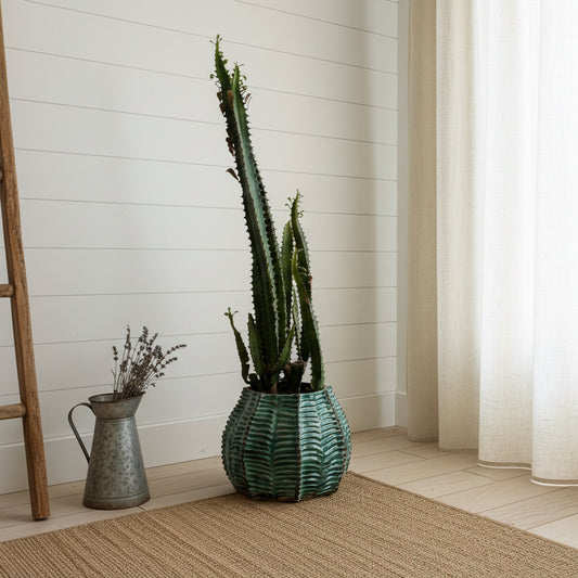 Cactus plant in a glass vase against a wall with a window above