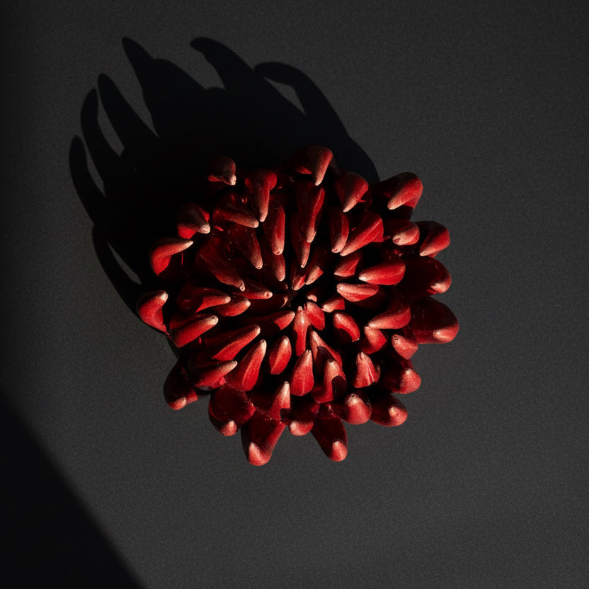 Red flower-like object casting a shadow on a white surface